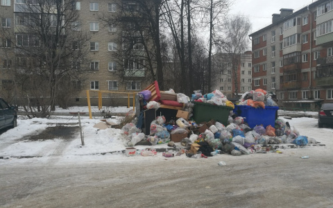 Владимирцы по-прежнему недовольны мусорной ситуацией в городе