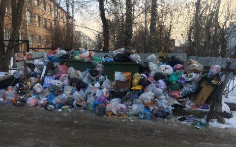 Владимирские дворы продолжают “тонуть” в мусоре