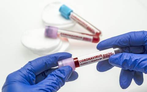 На коронавирус можно провериться бесконтактным способом