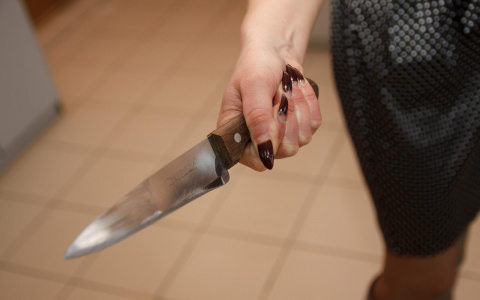 В Камешковском районе мать четверых детей зарезала мужчину