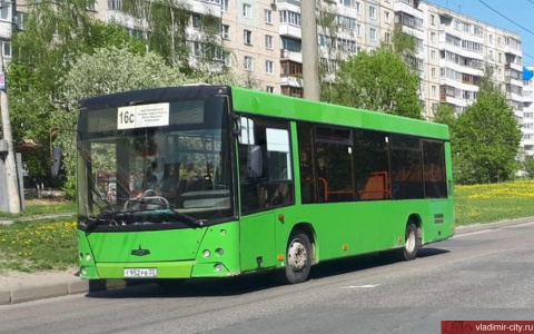 Маршрут автобуса 16С поедет до турбазы "Ладога"
