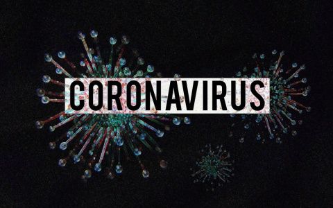Суточный прирост заразившихся коронавирусом во Владимирской области обновил рекорд