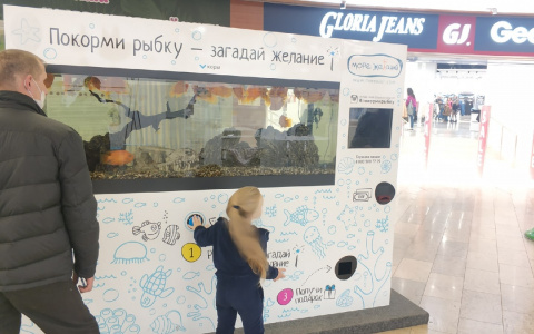 В торговом комплексе Владимира в аквариуме плавали мертвые рыбки