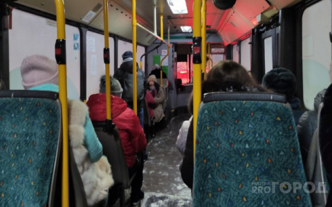 Жительница Владимира за одну поездку на автобусе заплатила дважды