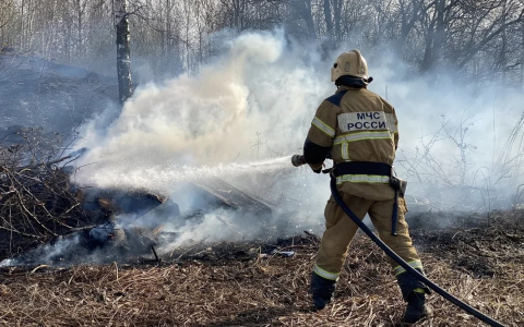 Во Владимирскую область вернётся особый противопожарный режим